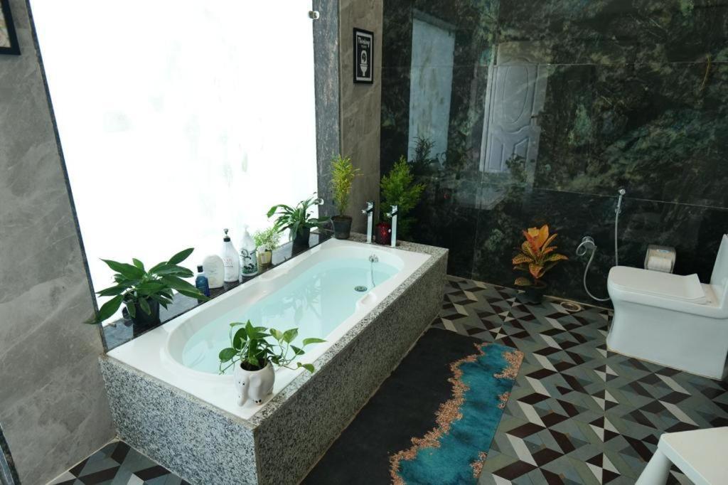 Jewel Of Jungle Apartment Tāla Exterior photo